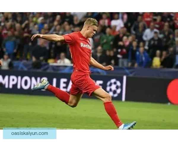 哈兰德布吕讷青训